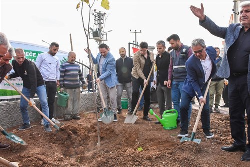 Nusaybin'de Milli Ağaçlandırma Günü nedeniyle fidan dikildi
